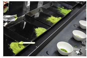 Thé Vert Matcha Japon